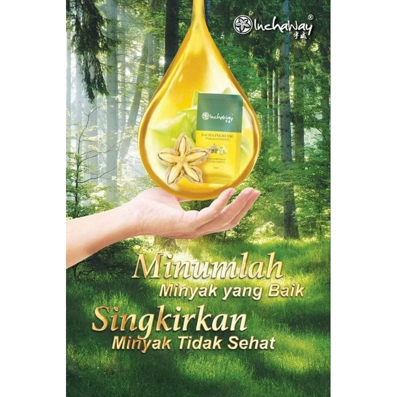 Minyak Sacha inchi inchaway harga persachet