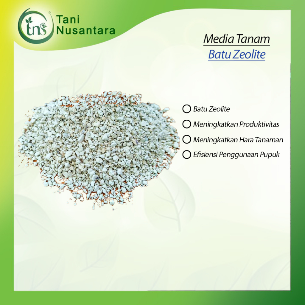 Batu Zeolit Media Tanam 0.1mm - Putih