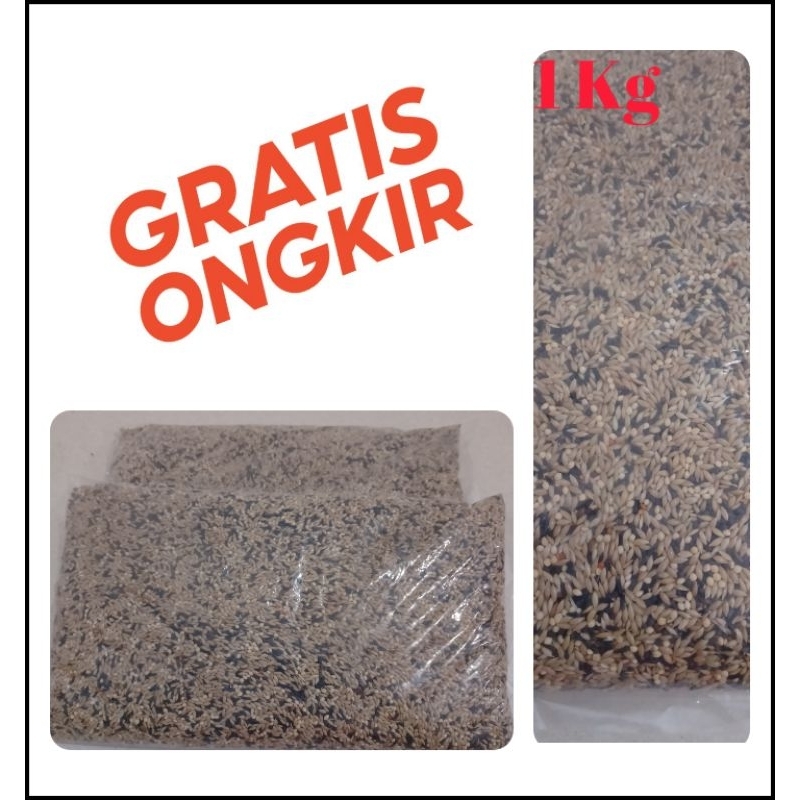 PAKAN BURUNG KENARI SEED CAMPUR.   kenariseed kenari seed biji canary biji kenari harian campur 1 KG