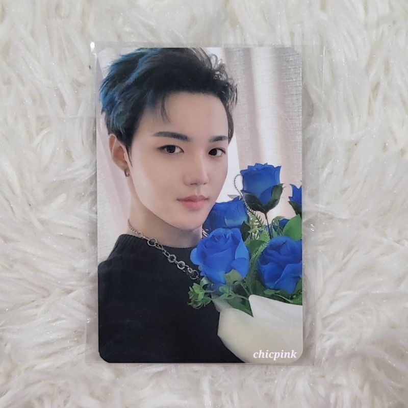 Treasure - Night Garden RPC Random Photocard Doyoung