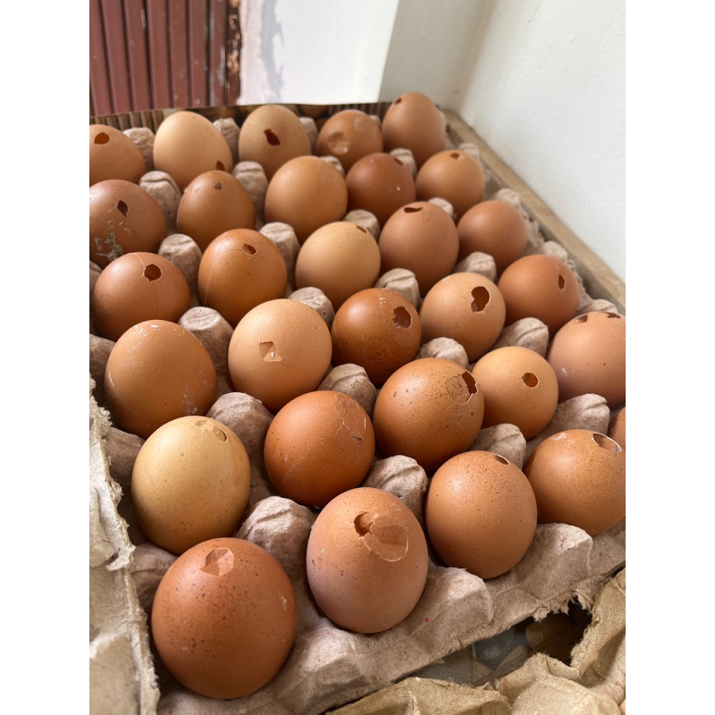 

Telur ayam Retak 1 kg