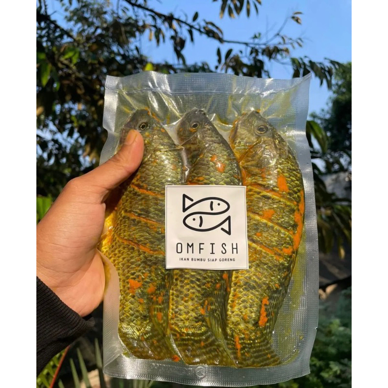 

ikan nila bumbu kuning siap goreng