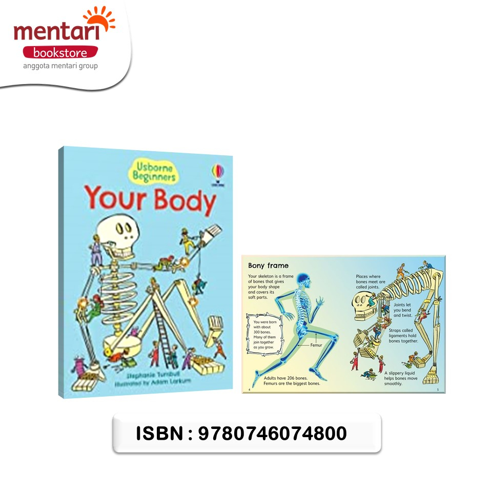 Your Body (Usborne Beginners)