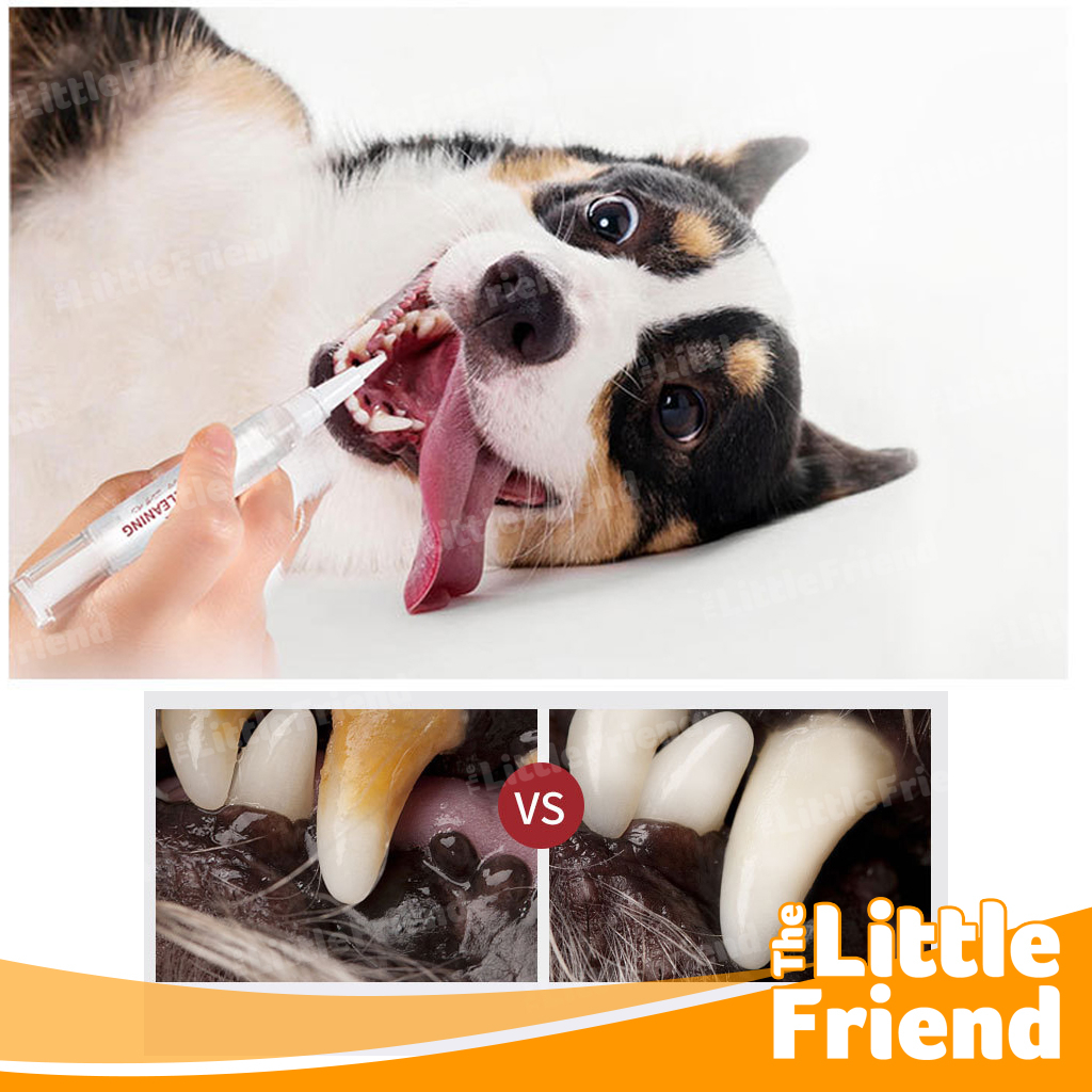 Pembersih Pelembut Karang Gigi Anjing Kucing Teeth Brightening Cleaning Pen