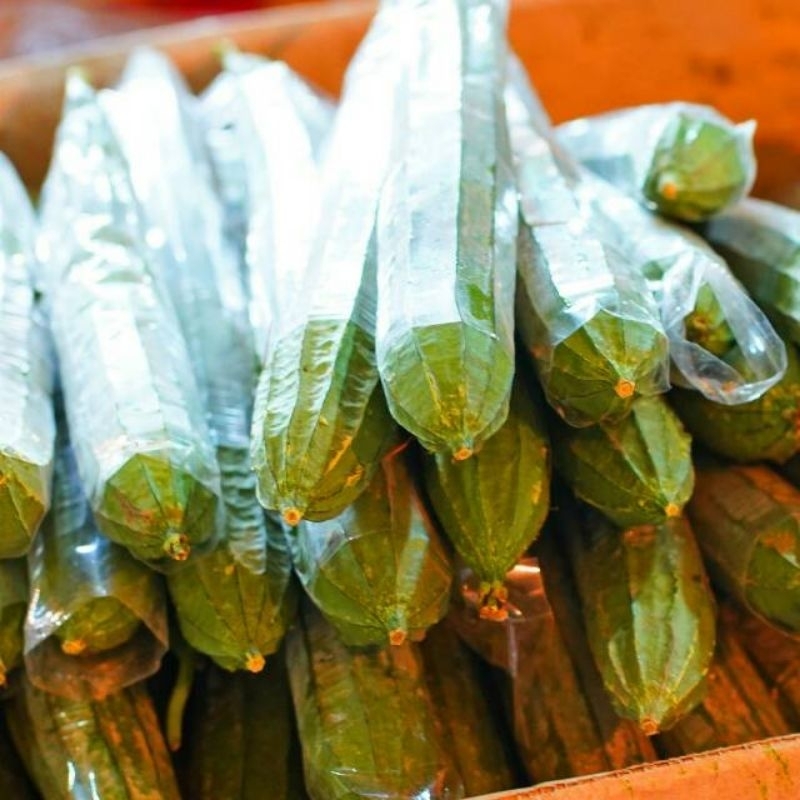 

Oyong 500 gr