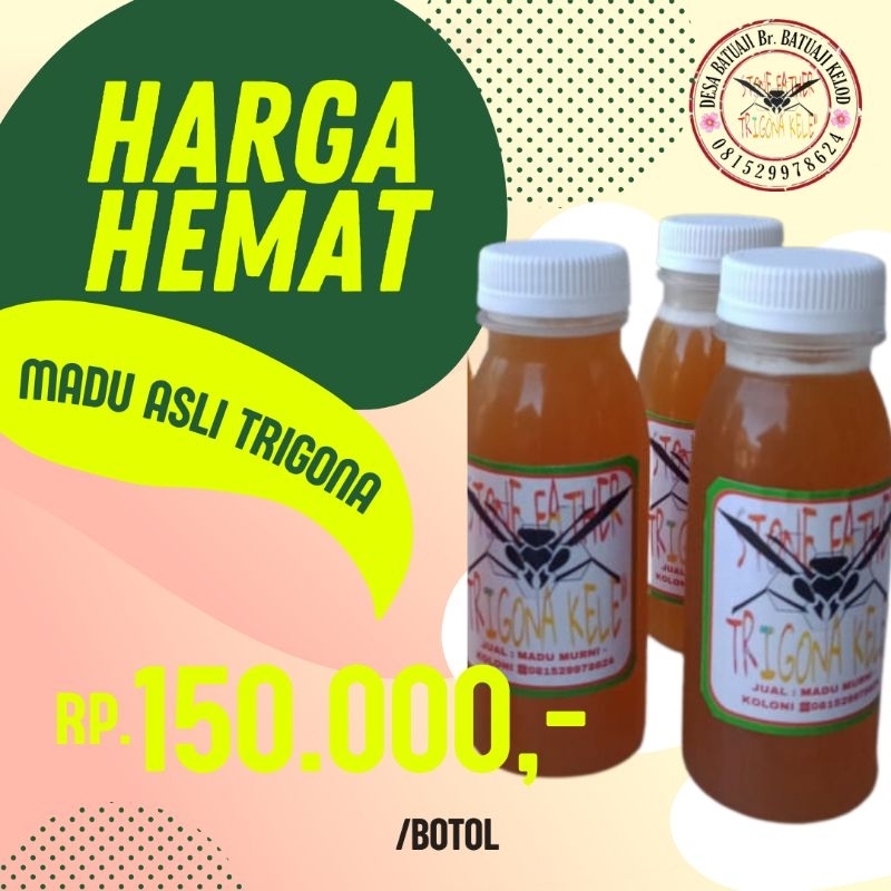 

Madu Asli Trigona