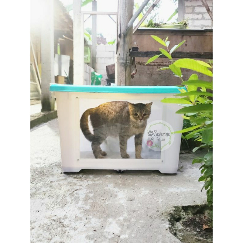 Kontainer Box 72 liter kandang landak mini kandang hamster Container box modif akrilik