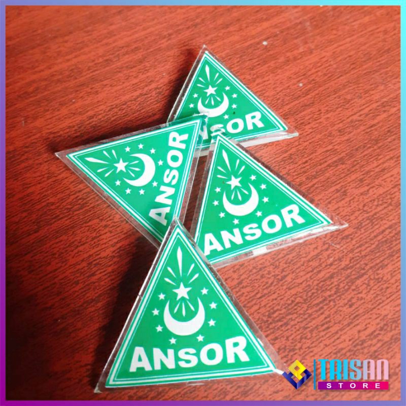 PIN ANSOR