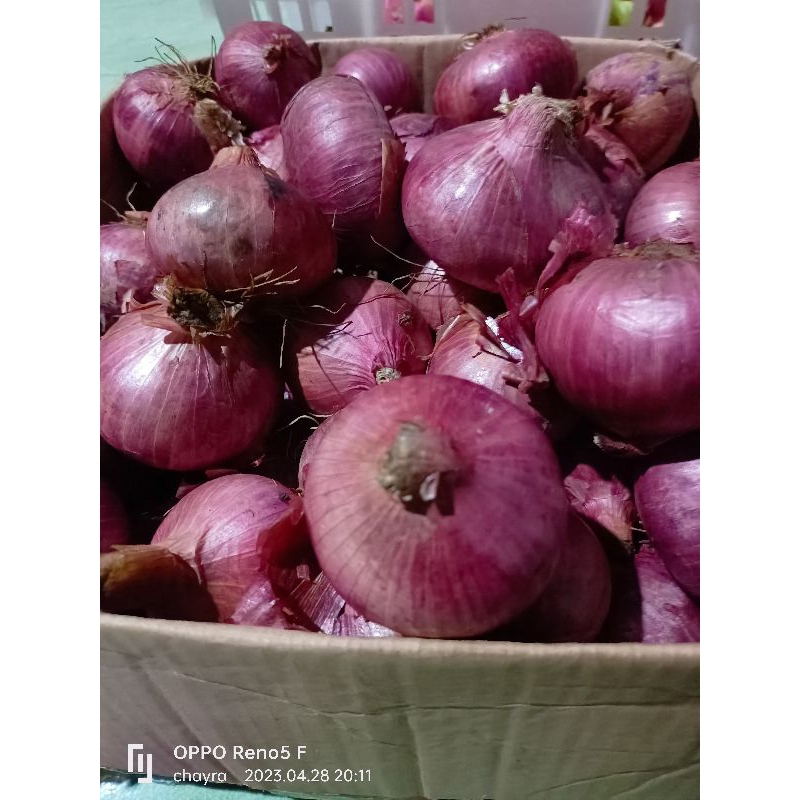 

bawang India fresh 1000g