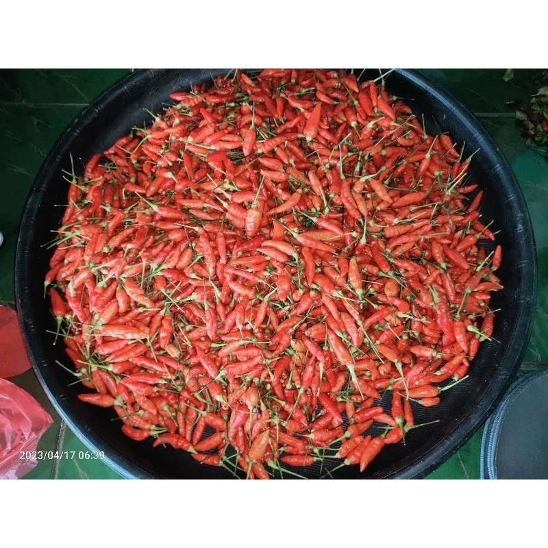 

Cabe Rawit / Lombok Kecil 1000gram