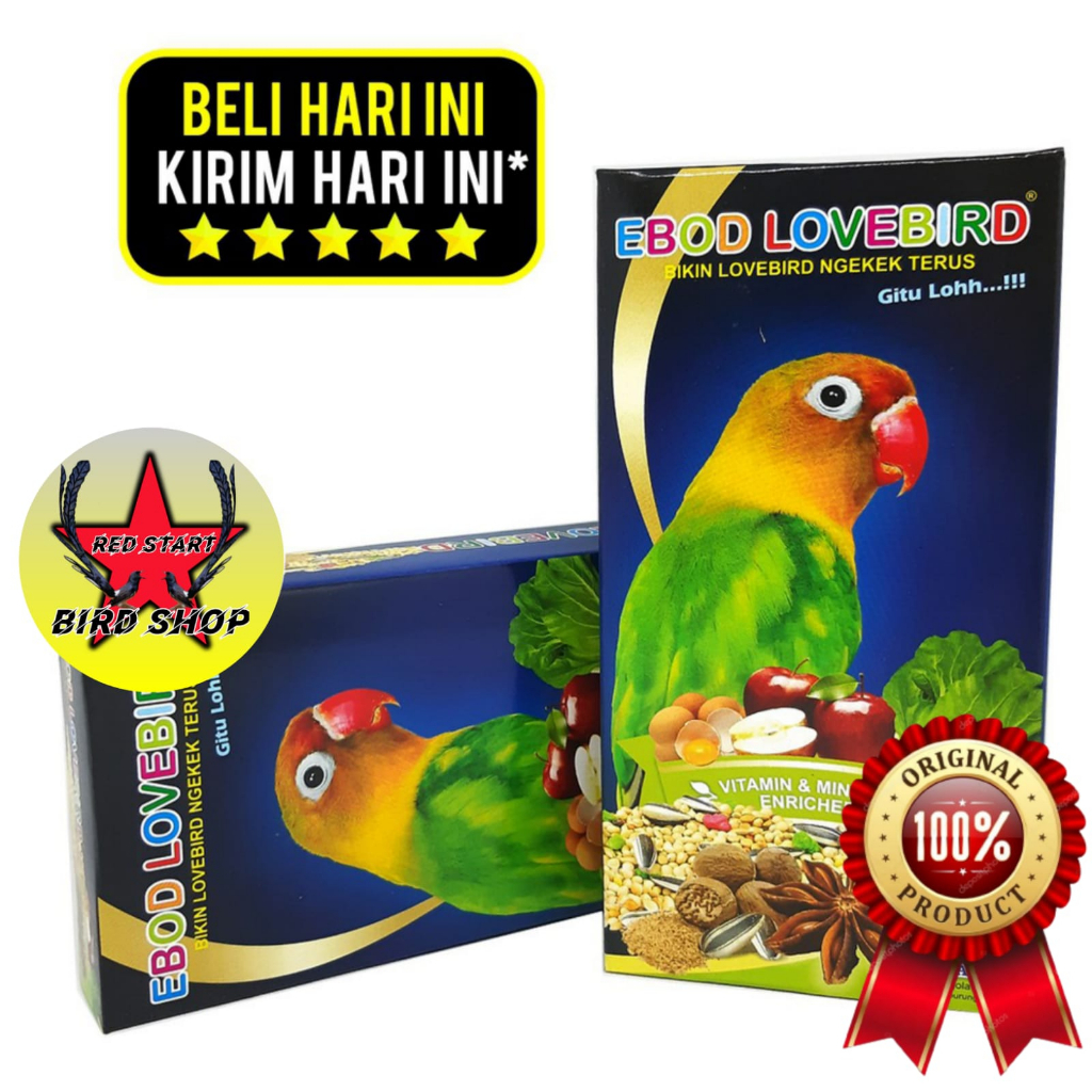 EBOD LOVEBIRD PAKAN BURUNG LOVEBIRD  EBOD JAYA