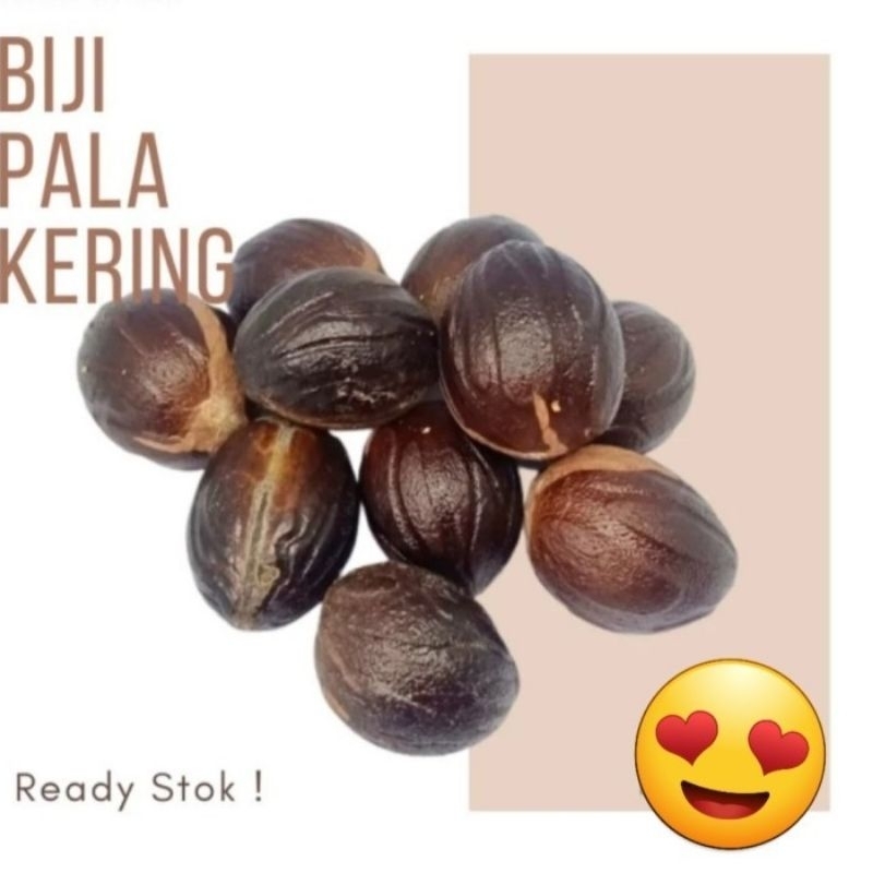 

Biji buah pala kering 500 gram, Grade A, rempah bumbu masak, untuk asinan