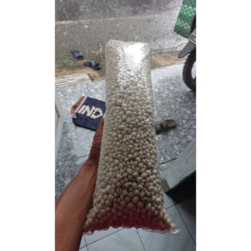 

Pilus Tegal Satu kilo