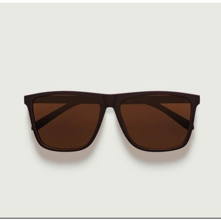 SUNNIES STUDIOS GRIFFIN BRUNETTE SUNGLASSES