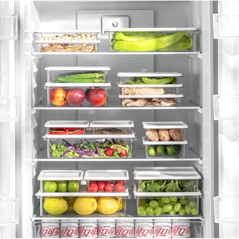 Kotak Penyimpanan Makanan Kulkas Fridge / Korean Food Container