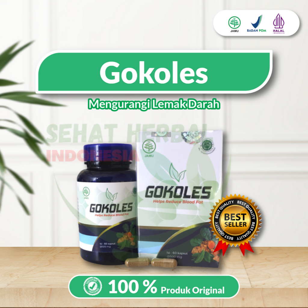 GOKOLES OBAT HERBAL KOLESTEROL OBAT ORIGINAL 100% ASLI BPOM  BY SS JAYA GROUP
