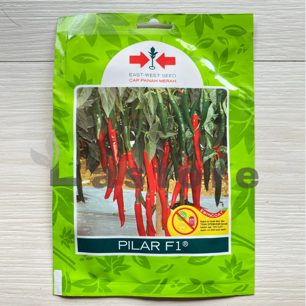 BENIH CABE CABAI BESAR PILAR F1 CAP PANAH MERAH