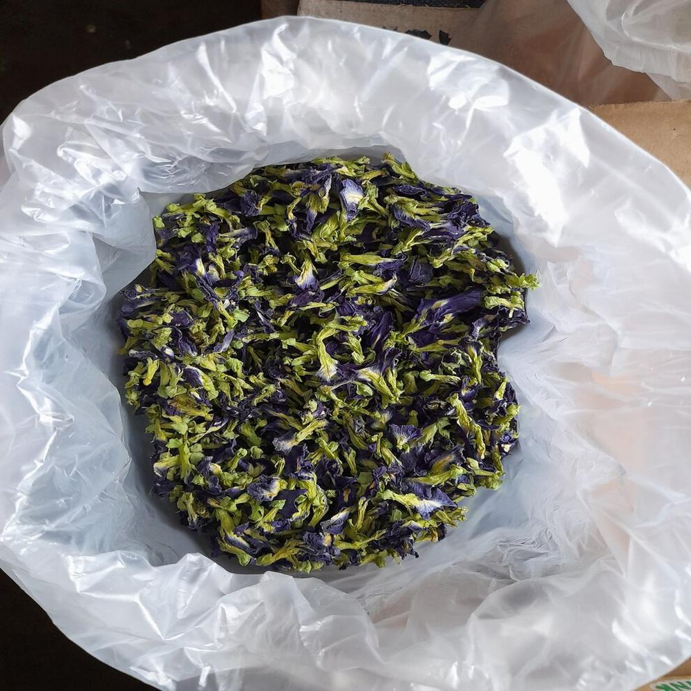 

Bunga Telang Kering Curah