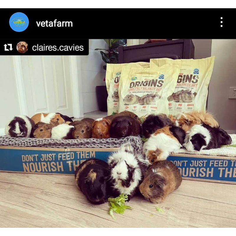 VETAFARM ORIGINS CAVY GUINEA PIG PAKAN MARMUT IMPORT AUSTRALIA MARMOT