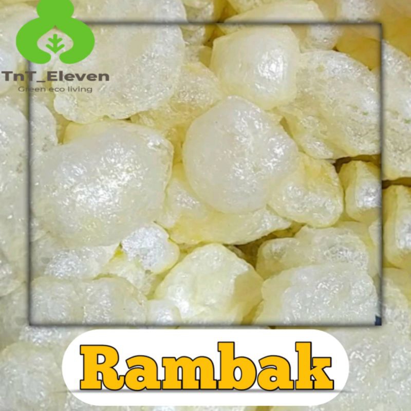 

Kerupuk Rambak - Kerupuk Kulit Sapi / Dorokdok Renyah (100gr)