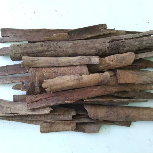 

Rempah Kayu Masohi/Masoyi/Mesoyi