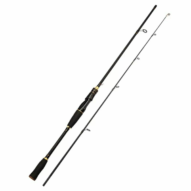 Joran Pancing DNR 180cm Carbon Hollow