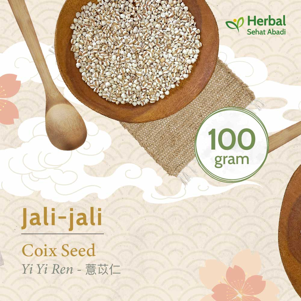 

Jali Jali China 100 gram / Coix Seed / Yi Yi Ren (薏苡仁) / Barley