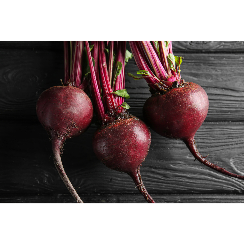 Benih Bibit Biji - Beetroot Detroit Dark Red Buah Bit Beet Merah Tua Manis Seeds - IMPORT