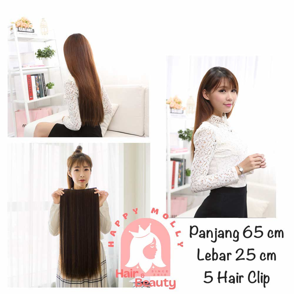 Hair Clip Extension - Highlight Rambut Sambung Palsu - Fashion Wanita Korea - Headpiece Warna Warni W8126 ( Group )