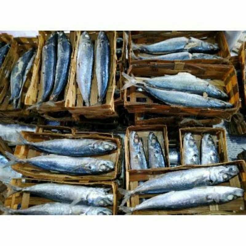

IKAN CUE LAYANG KERANJANG - ISI 2 EKOR