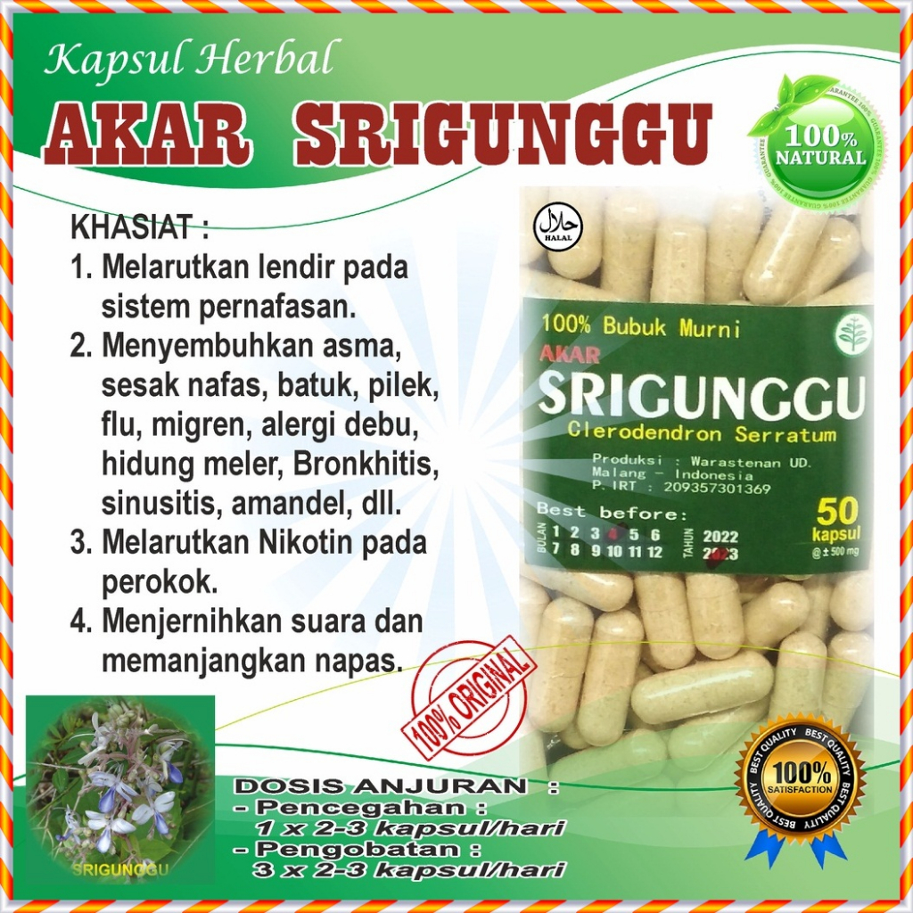 

Akar Srigunggu Gurah Herbal Alami Melarutkan Nikotin Pada Perokok Menyembuhkan Radang Saluran Nafas D2N3