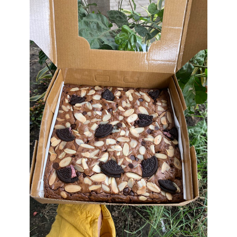 

FudgyBrounis