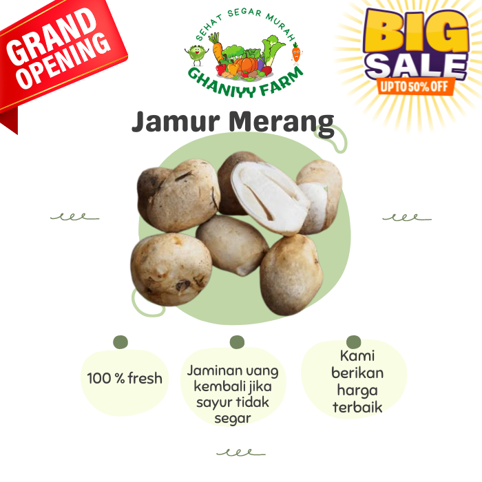 

Jamur Merang 250Gram