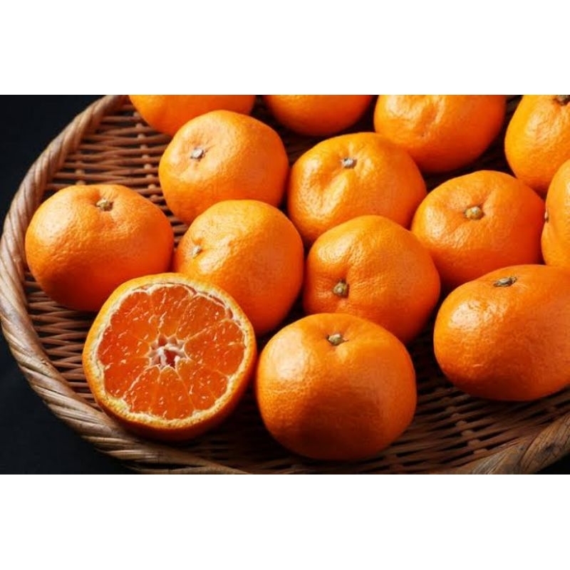 

Jeruk segar (ka susan)