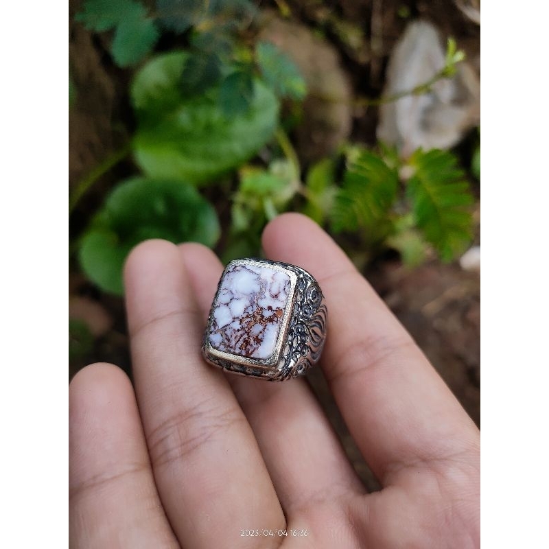 pirus putih urat merah kotak