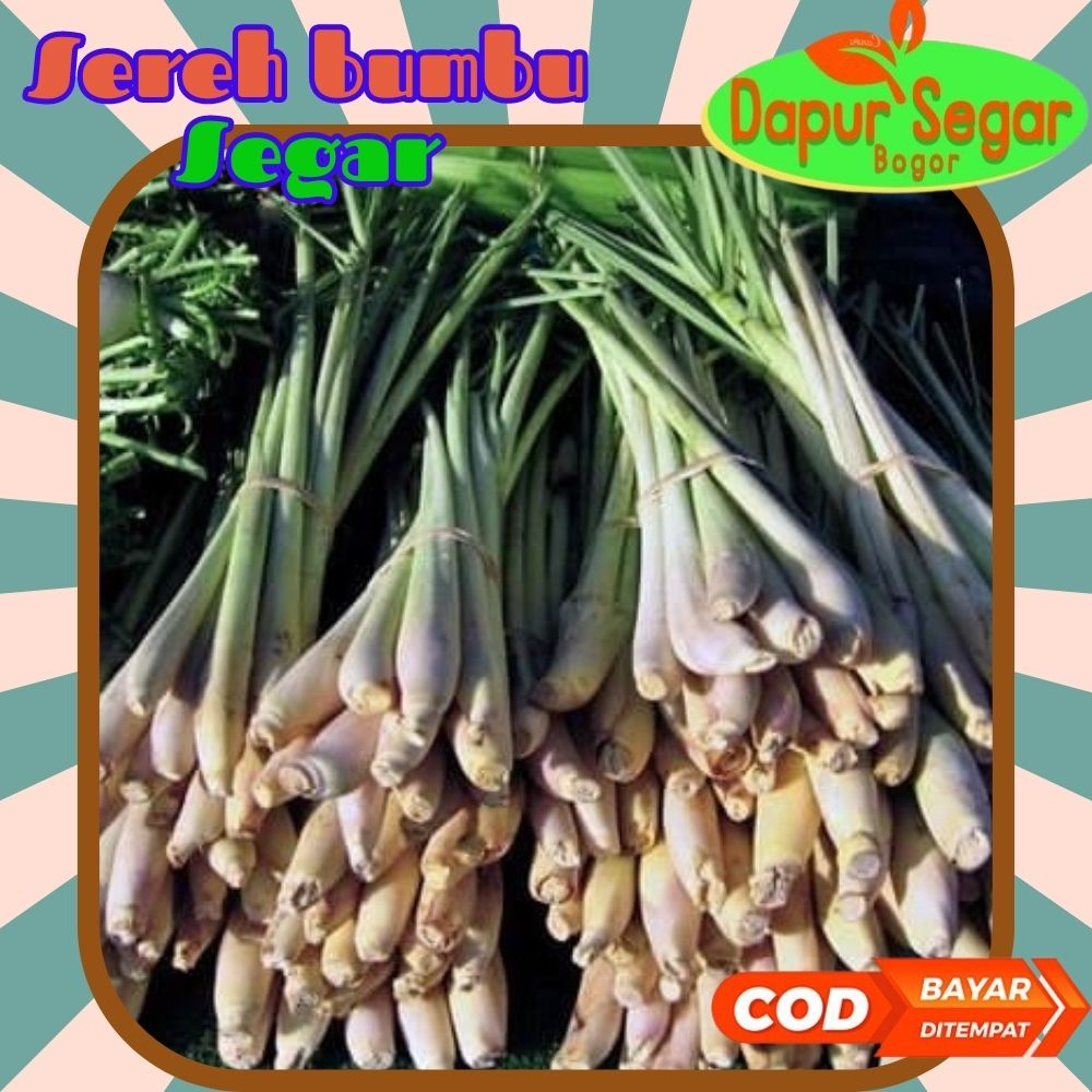 

sereh 250gr serai sereh segar bumbu masak