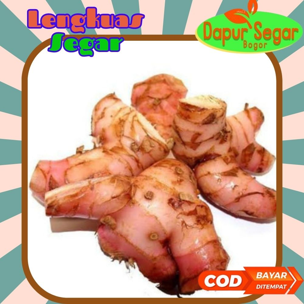

lengkuas laos laja merah 1/2kg segar fresh