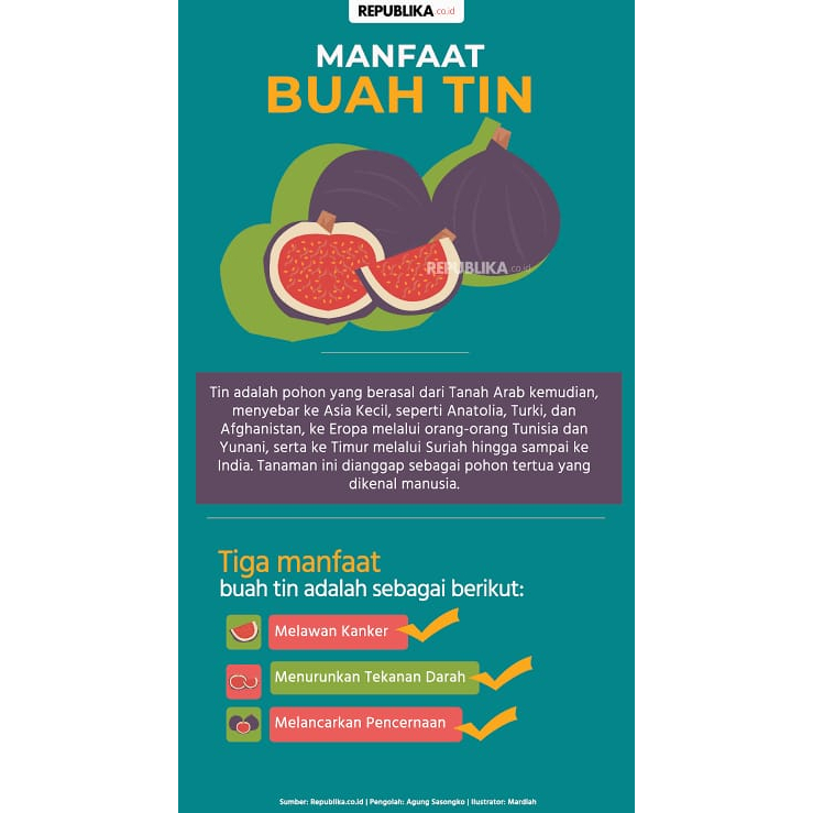 

Buah TIN buah segala manfaat 150gr