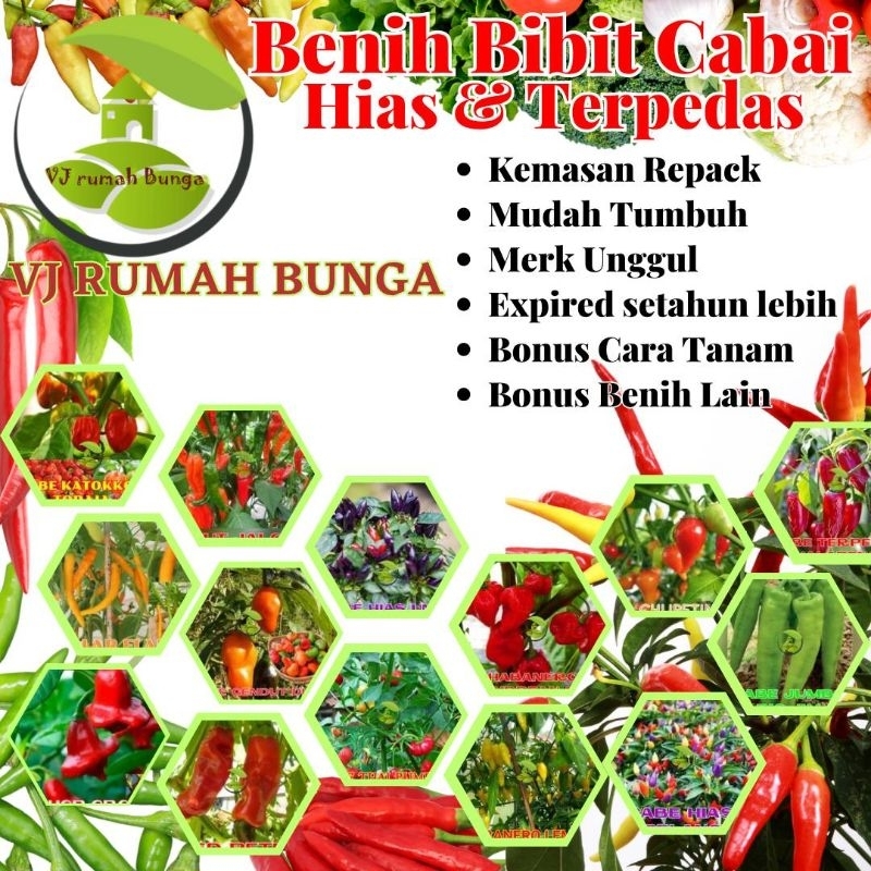 Benih Bibit Cabai Hias Cabe Paprika Cabai Ungu Cabai Jalapeno Cabe Terpedas