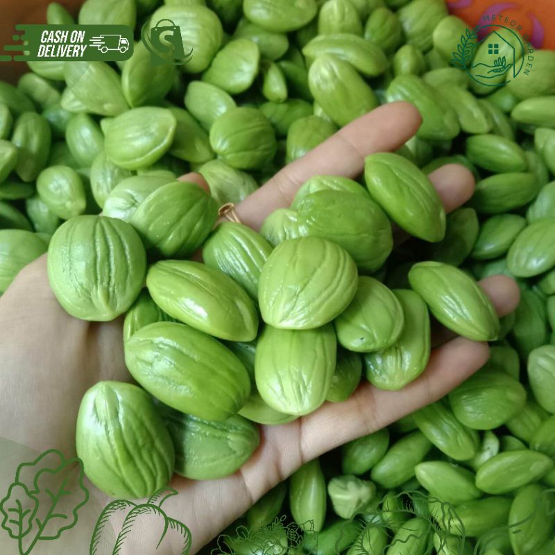 

PETAI KUPAS / PETE (Berat 100gr)