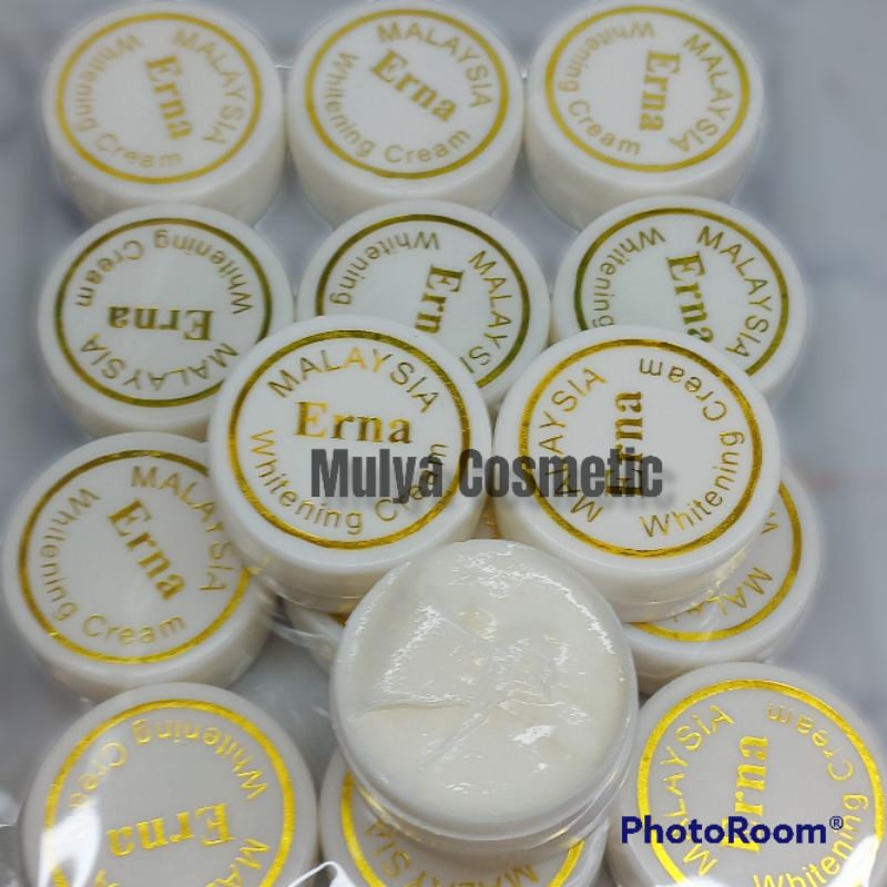 12 pcs CREAM ERNA PEMUTIH WAJAH SIANG MALAM