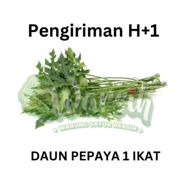 

WARSIH • DAUN PEPAYA 1 IKAT