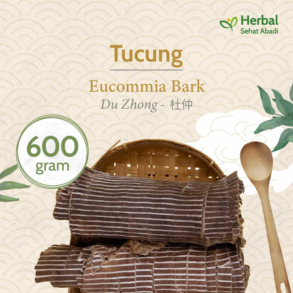 Du Zhong 600 gram  / Eucommia Bark / Tucung