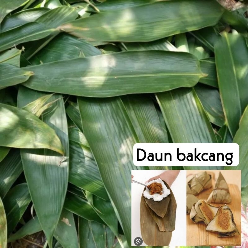 

Daun bambu pembungkus bakcang / kicang daun bakcang fresh asli