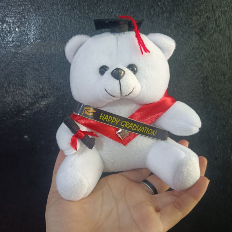 BONEKA BERUANG VELBOA / BONEKA BUKET / BONEKA WISUDA