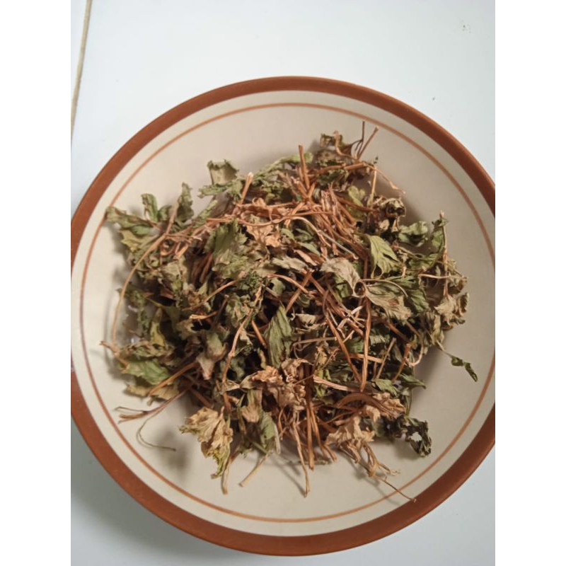 

Herba Seledri