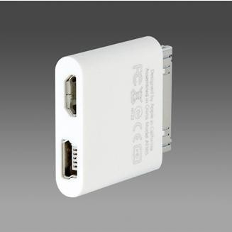 Micro USB or Mini USB F to Ipad 30 pin M Dock Apple Adapter Converter