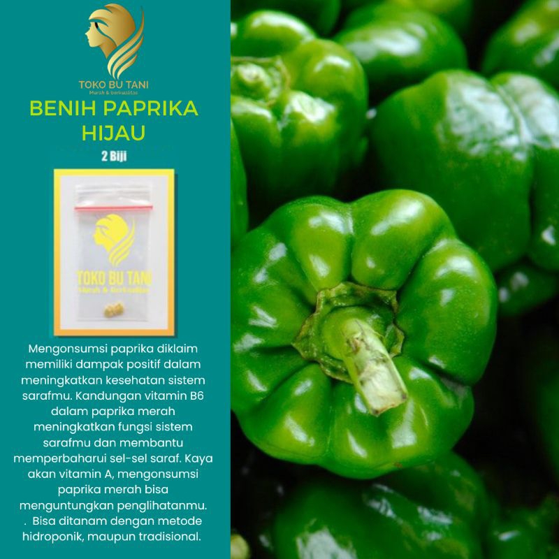 Benih Paprika Hijau F1 Bibit Paprika Hijau Benih Sayuran Berkualitas