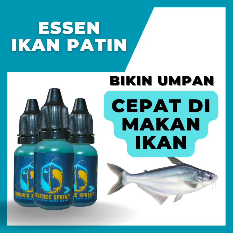 Essen Ikan Patin - Esen Patin Liar dan Kolam Bisa Untuk Semua Umpan