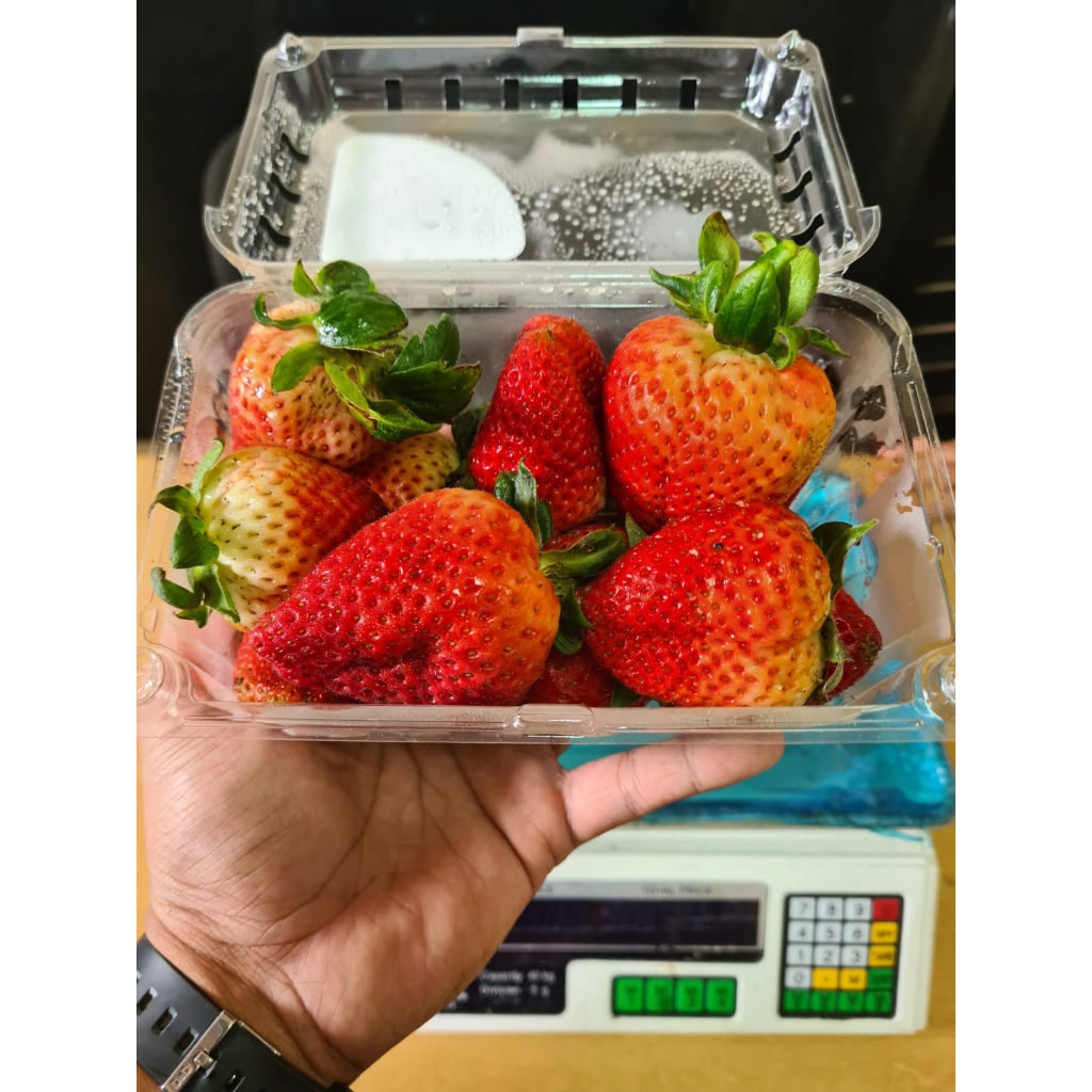 

Strawberry Usa 1 KARTON | California Strawberries 8x454 Grm